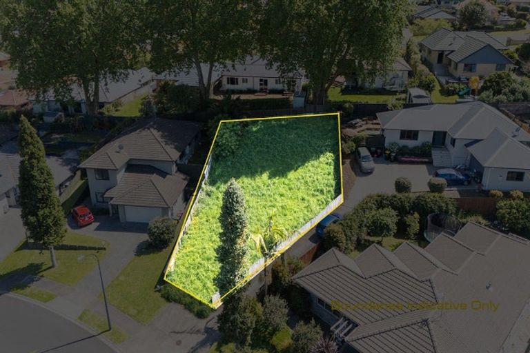 Photo of property in 11 Edwin Grove, Bethlehem, Tauranga, 3110