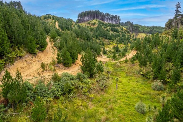 Photo of property in 865 Duncan Road, Lake Ohia, Kaitaia, 0482