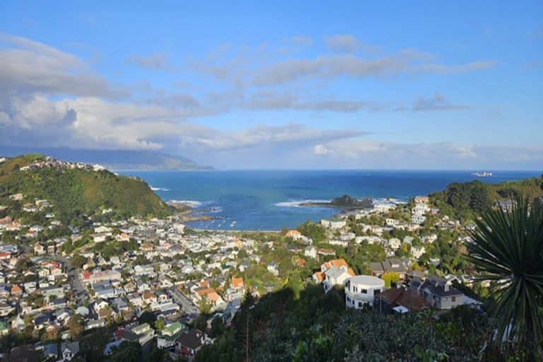 Photo of property in 74 Frobisher Street, Island Bay, Wellington, 6023