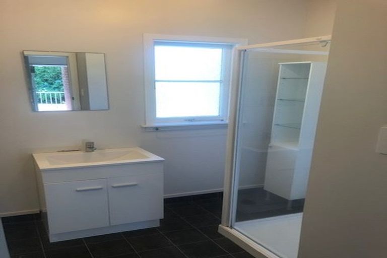 Photo of property in 162 Hutchinson Avenue, New Lynn, Auckland, 0600