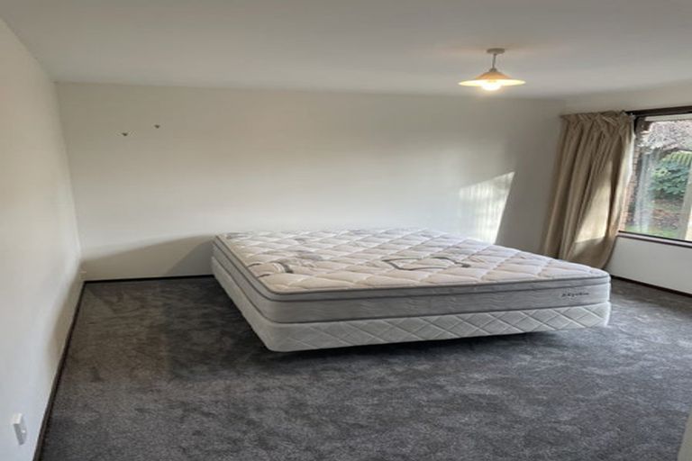 Photo of property in 23 Holmwood Road, Merivale, Christchurch, 8014