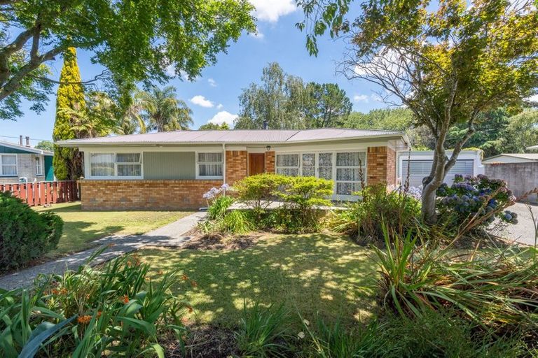 Property details for 93 Fitzroy Avenue, Fitzroy, Hamilton, 3206