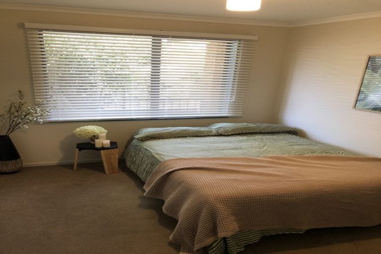 Photo of property in 48 Haultain Street, Fairfield, Hamilton, 3214