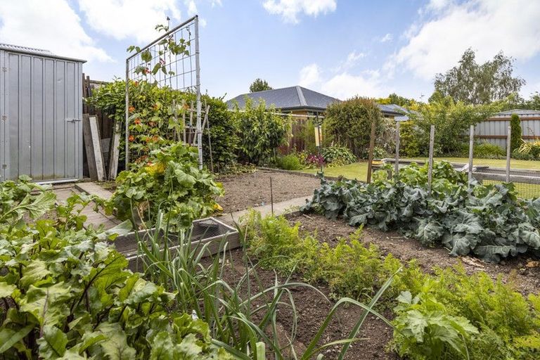 Photo of property in 44a-b Leefield Street, Blenheim, 7201