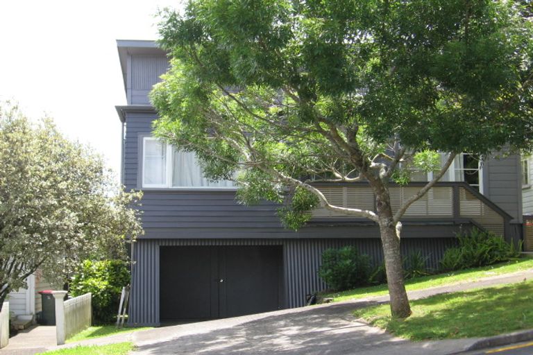 Photo of property in 17 Buchanan Street, Kingsland, Auckland, 1021