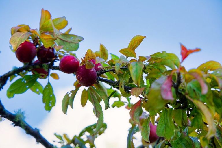 Photo of property in 759 Mount Fyffe Road, Kaikoura Flat, Kaikoura, 7371