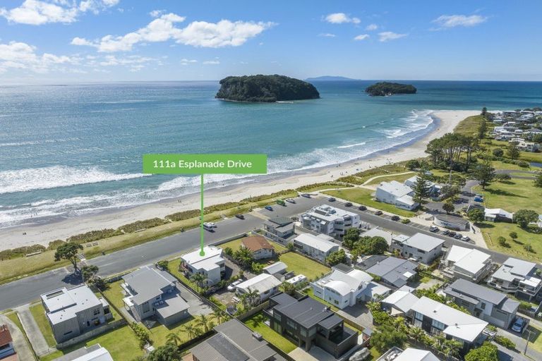 Photo of property in 111a Esplanade Drive, Whangamata, 3620