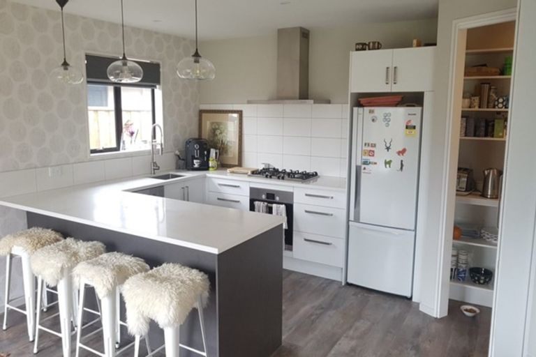 Photo of property in 14 Mclenaghan Road, Rolleston, 7614