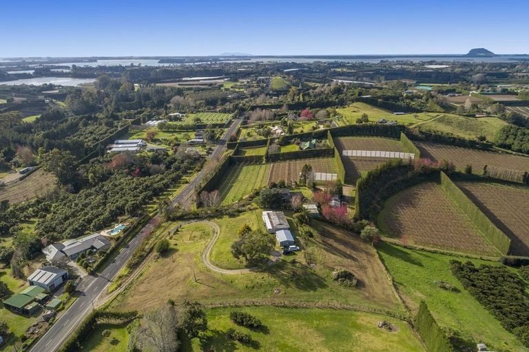Photo of property in 14 Snodgrass Road, Te Puna, Tauranga, 3174