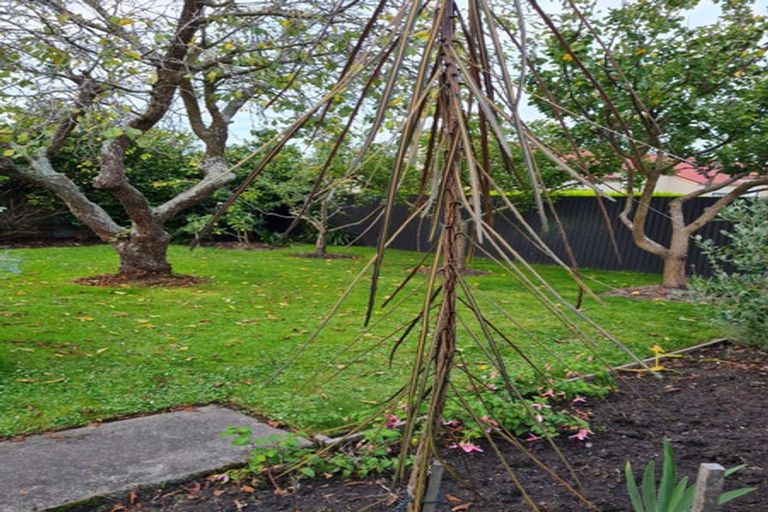 Photo of property in 93 Le Cren Street, Seaview, Timaru, 7910