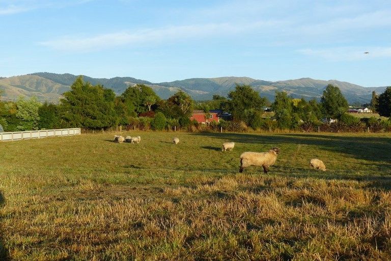 Photo of property in High Street, Waimate, 7924