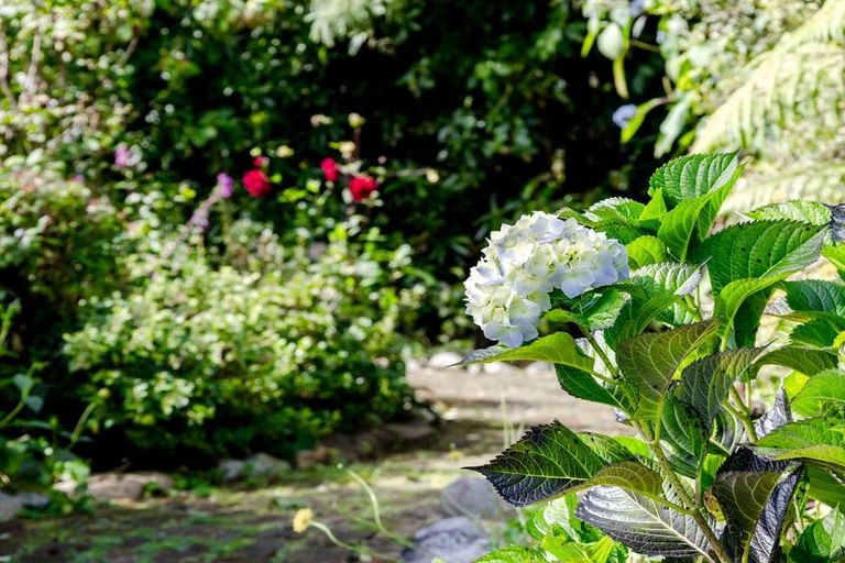 Photo of property in 84 Maori Creek Road, Marsden, Greymouth, 7872