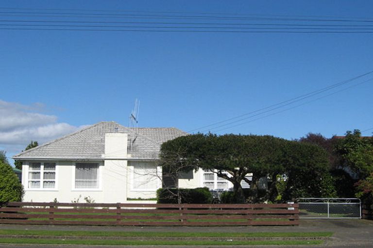 Photo of property in 16 Middlesex Street, Levin, 5510