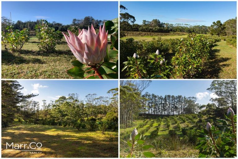 Photo of property in 12 Kaikatia Road, Pukenui, 0484