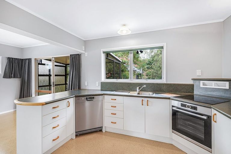 Photo of property in 43 Edinburgh Road, Hillcrest, Hamilton, 3216