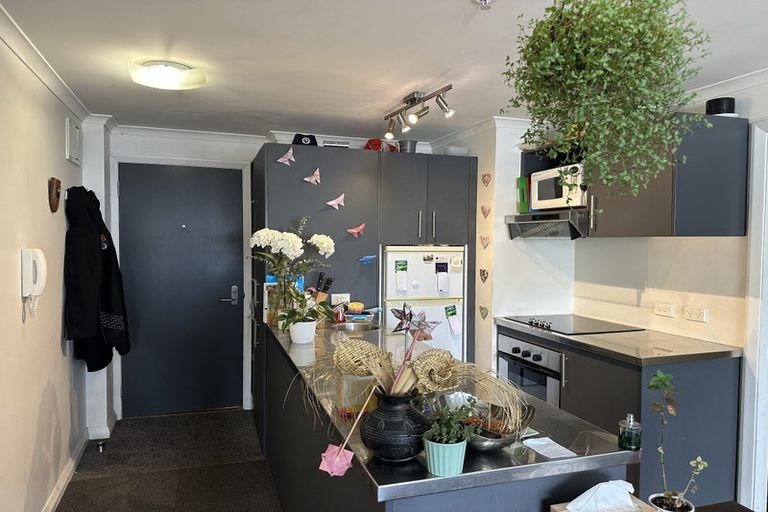 Photo of property in Monvie Apartments, 101/15 Holland Street, Te Aro, Wellington, 6011
