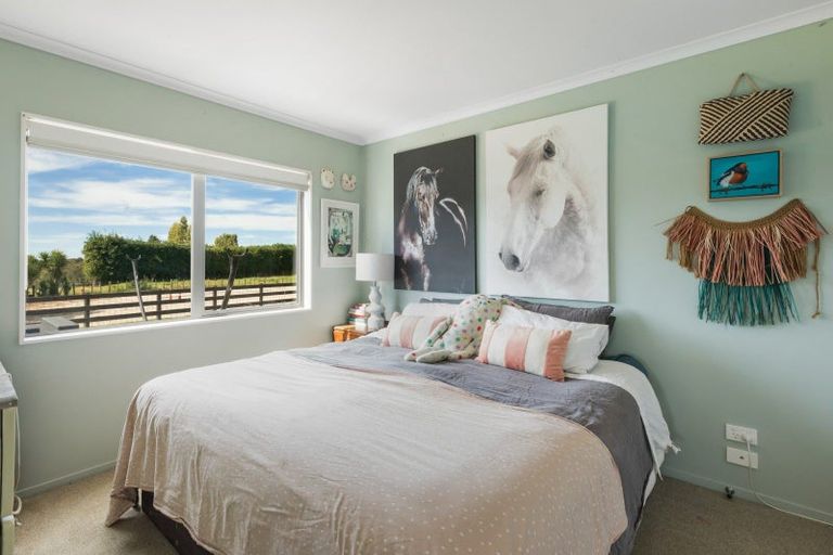 Photo of property in 126 Willoughby Road, Tahawai, Katikati, 3170