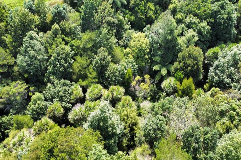 Photo of property in 1377e Manawahe Road, Manawahe, Whakatane, 3194