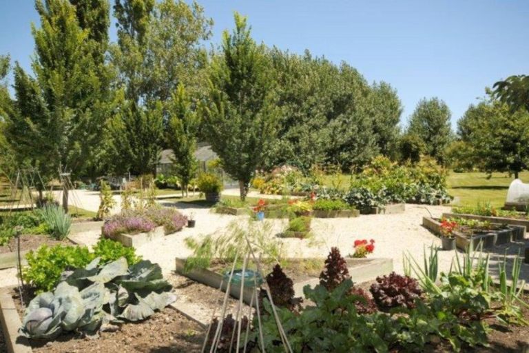 Photo of property in 133 Gilmours Road, Lincoln, Christchurch, 7672