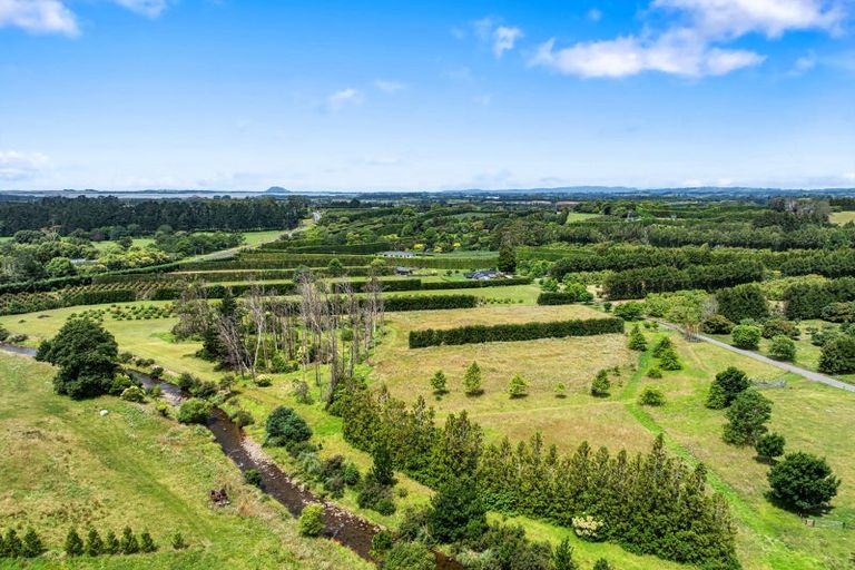 Photo of property in 30b Thompsons Track, Aongatete, 3178