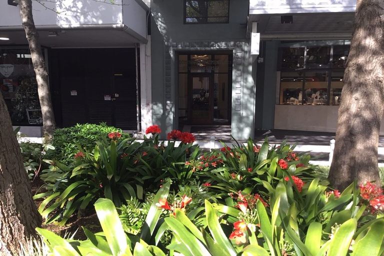 Photo of property in Dominion Apartments, 16/80 Victoria Street, Wellington Central, Wellington, 6011