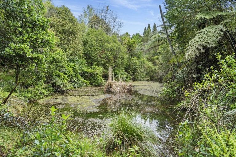 Photo of property in 40 Walden Lane, Minden, Tauranga, 3171