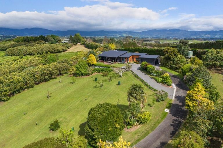 Photo of property in 97 Morton Road, Aongatete, Katikati, 3181