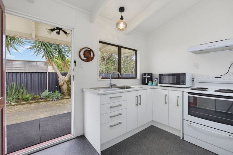 Photo of property in 133 Tiro Tiro Road, Levin, 5510