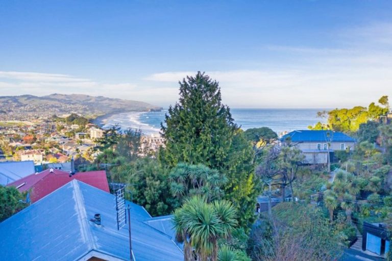 Photo of property in 118 Bedford Street, Saint Clair, Dunedin, 9012