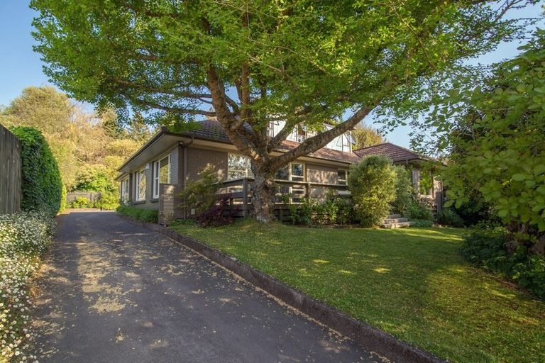 Photo of property in 8 Awatea Terrace, Lynmore, Rotorua, 3010