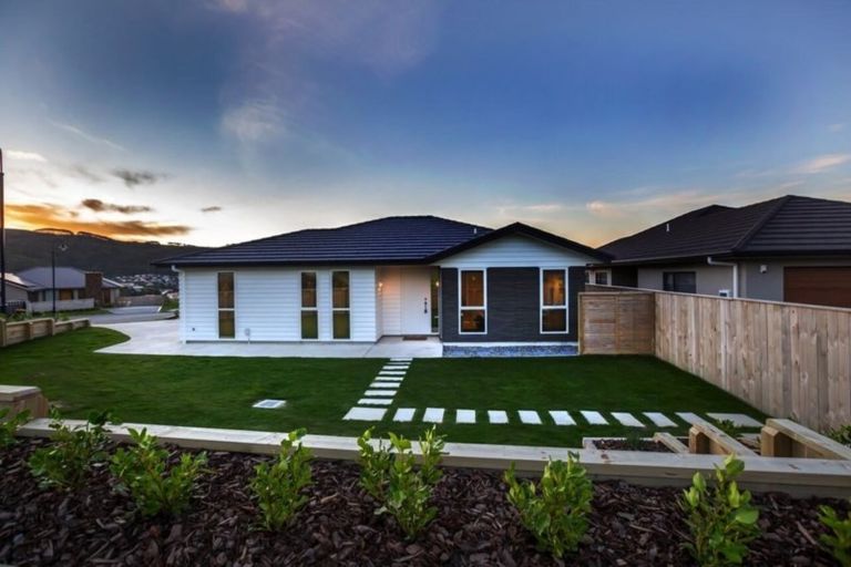 Photo of property in 64 John Burke Drive, Aotea, Porirua, 5024