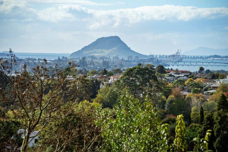 Photo of property in 3175l Ohauiti Road, Ohauiti, Tauranga, 3173