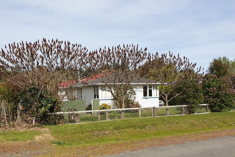 Photo of property in 24 Hawkswood Street, Waiau, 7332