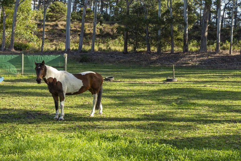 Photo of property in 12 Kaikatia Road, Pukenui, 0484