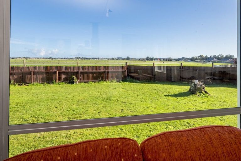 Photo of property in 24 Mahoe Street, Levin, 5510