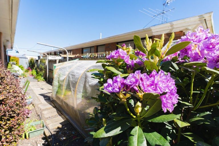 Photo of property in 185b Gordon Road, Mosgiel, 9024