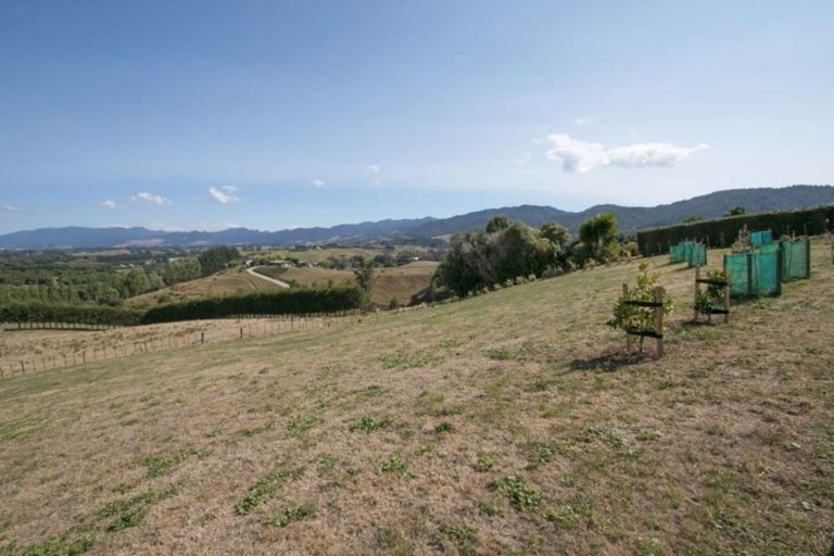 Photo of property in 63 Woodland Road, Tahawai, Katikati, 3170