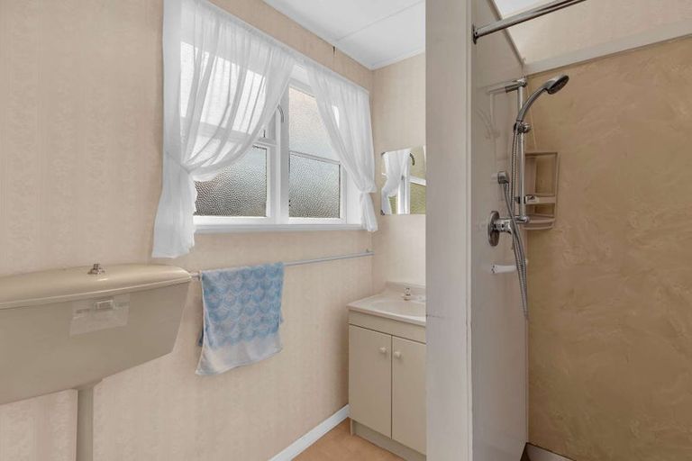 Photo of property in 119 Rangiora Avenue, Roslyn, Palmerston North, 4414