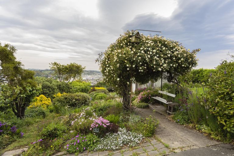 Photo of property in 10 Tamar Street, South Hill, Oamaru, 9400