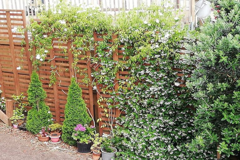 Photo of property in 2/92 Sartors Avenue, Browns Bay, Auckland, 0630