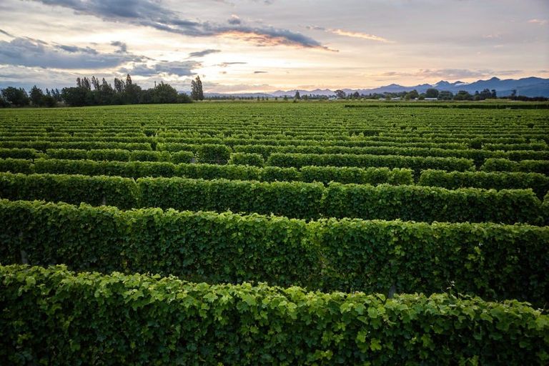 Photo of property in 22 Burnside Avenue, Springlands, Blenheim, 7272