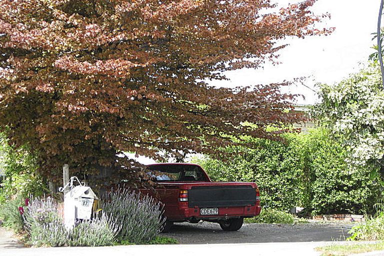 Photo of property in 17 New Renwick Road, Redwoodtown, Blenheim, 7201