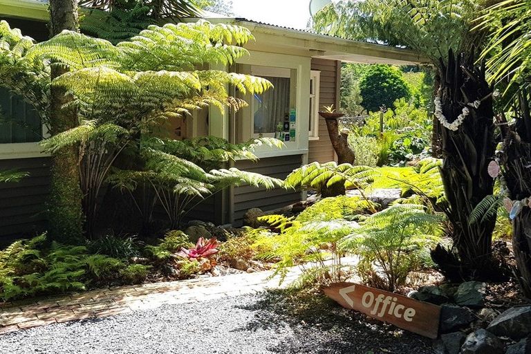 Photo of property in 425 Driving Creek Road, Coromandel, 3506