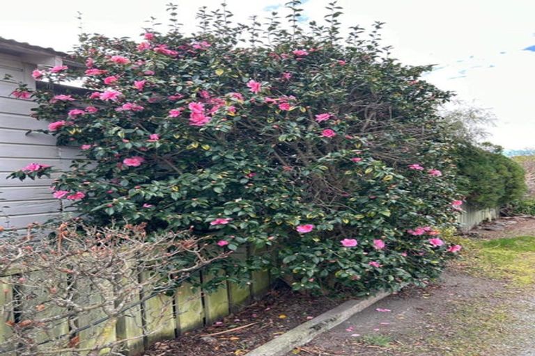 Photo of property in 10 Bowen Street, Kurow, 9435