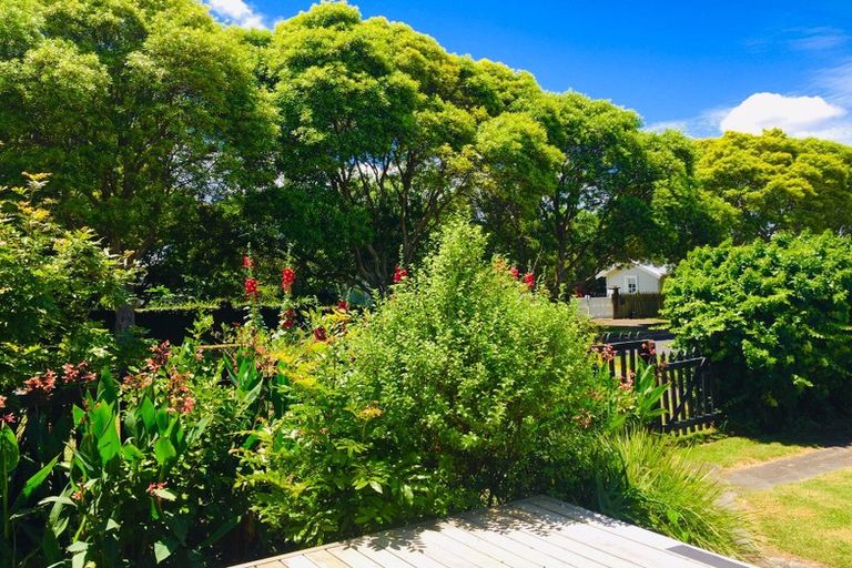 Photo of property in 208 Banks Street, Thames, 3500