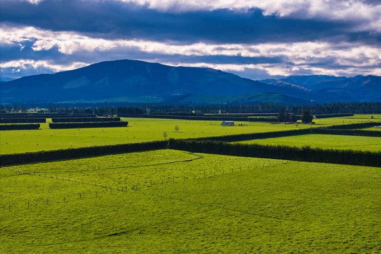 Photo of property in 105 Chapel Road, Loburn, 7472