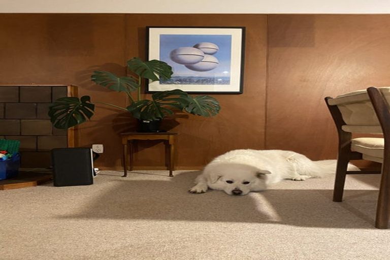 Photo of property in 91 Seaview Road, Piha, New Lynn, 0772