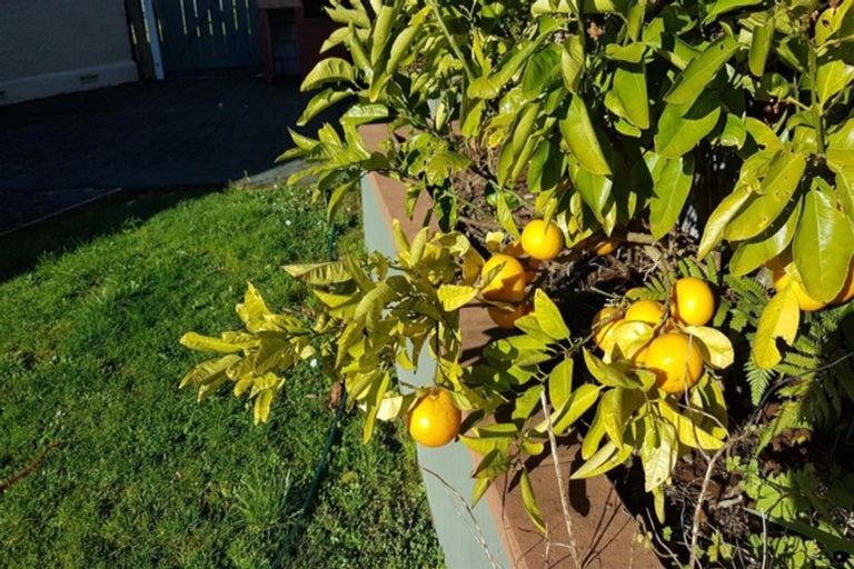 Photo of property in 124 Orowaiti Road, Westport, 7825