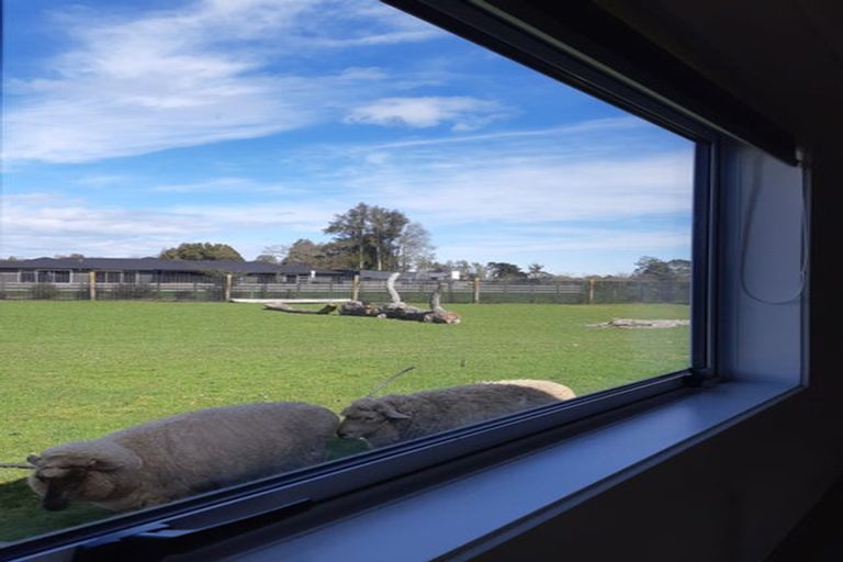 Photo of property in 231 Sainsbury Road, Puketaha, Hamilton, 3281