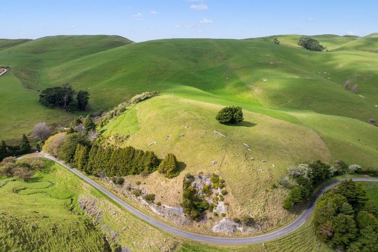 Photo of property in 402 Kaka Amu Road, Rangitumau, Masterton, 5871